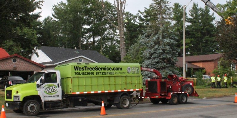 Tree Services in Simcoe and Muskoka County, Ontario